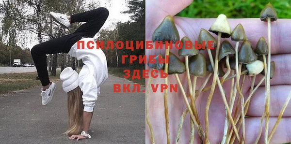 трава Переславль-Залесский