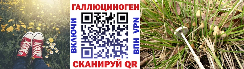 цена наркотик Хотьково Галлюциногенные грибы MAGIC MUSHROOMS
